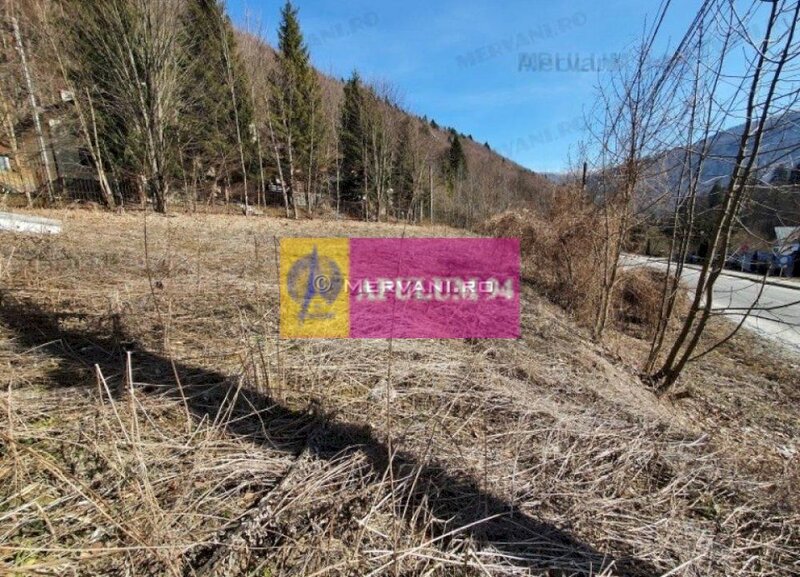 Teren Intravilan de Vanzare Sinaia